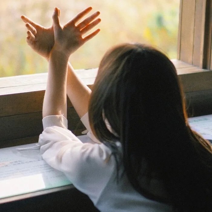 阿特米斯的奇幻历险