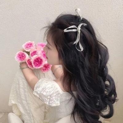 征服者佩尔